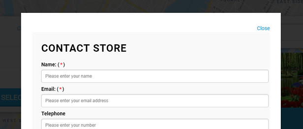 Contact Form for Individual Store Locator